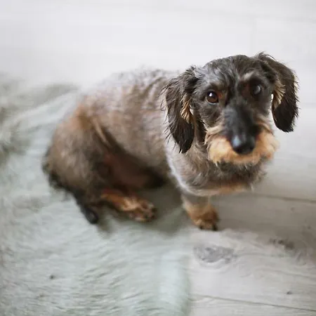 Quartier 23 Nordhorn