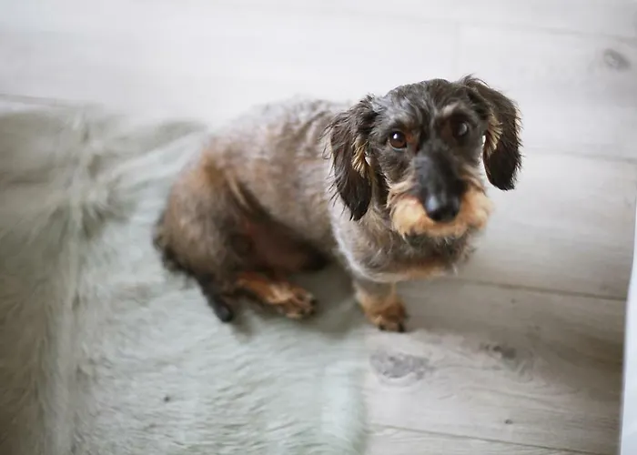 Quartier 23 Nordhorn